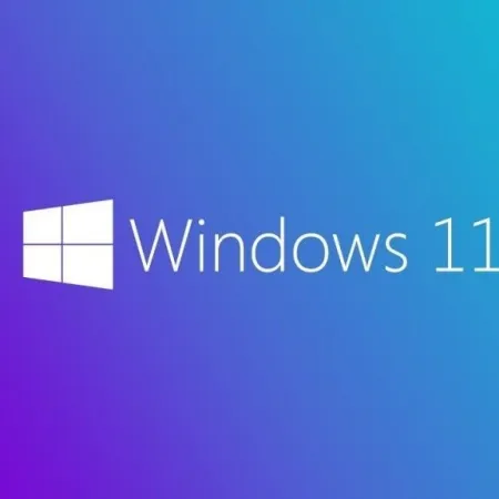 Microsoft Windows 11 Pro İngilizce Oem (64 Bit) FQC-10528