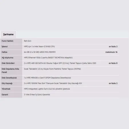 HPE DL380 Gen11 Gold 5416S-64GB-2x480G-2U (P81784)
