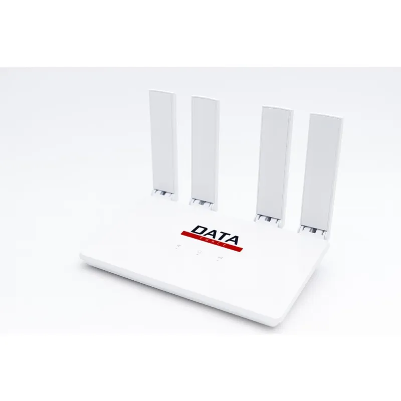 DATAFORCE CPF906-E 2.4GHz 4G LTE SIM KART GİRİŞLİ ROUTER