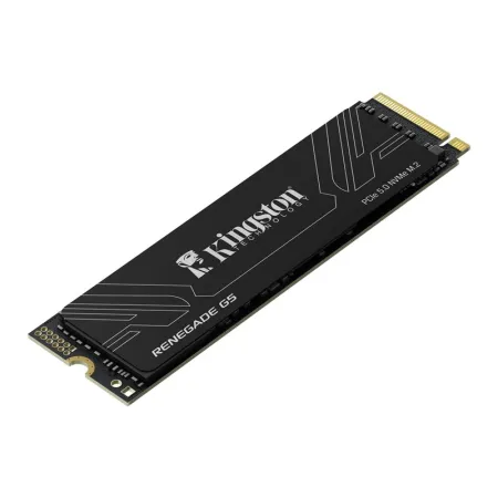 Kingston Renegade G5 1TB M.2 NVMe 14200-11000MB/s